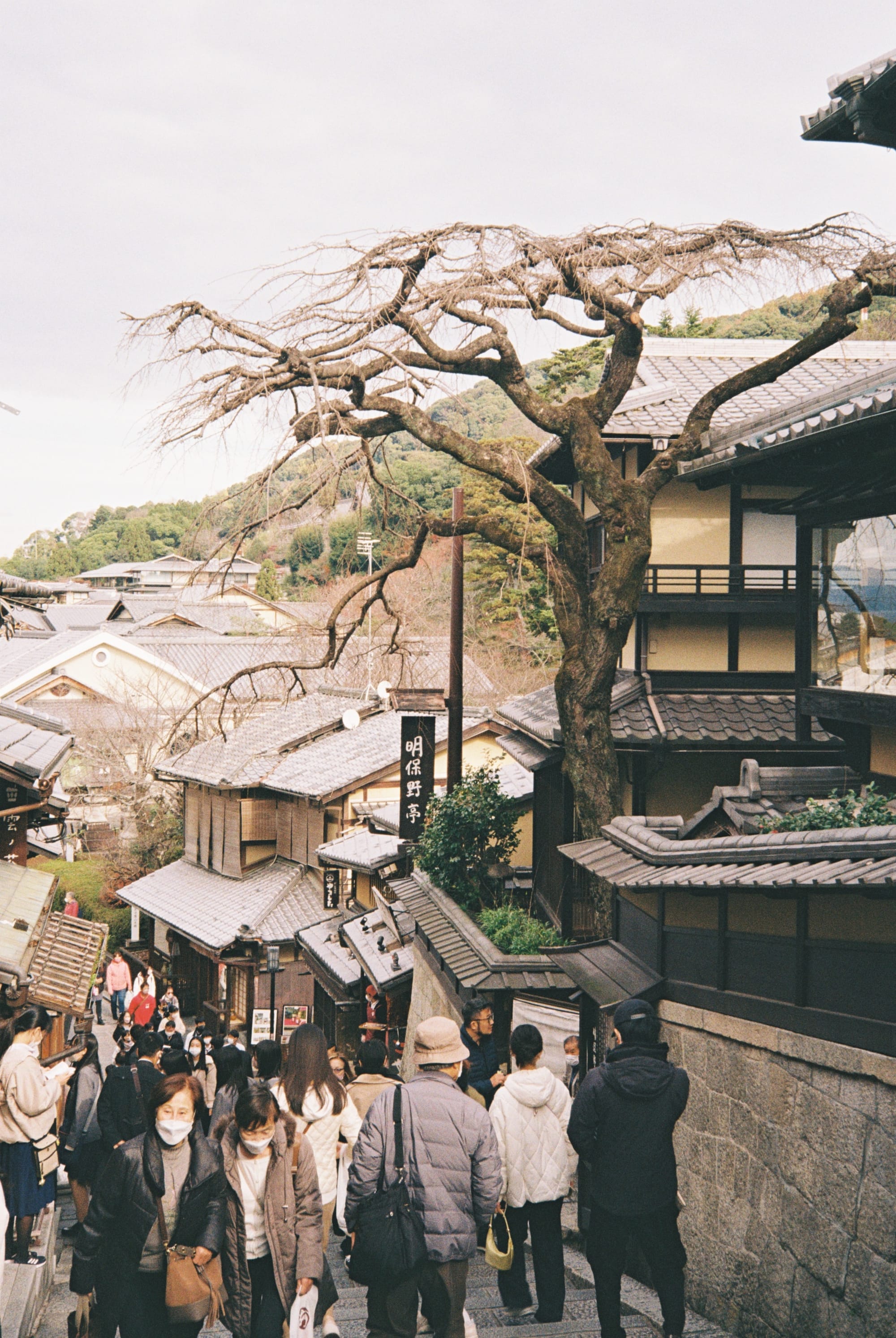 Japan Diaries - Beautiful Kyoto