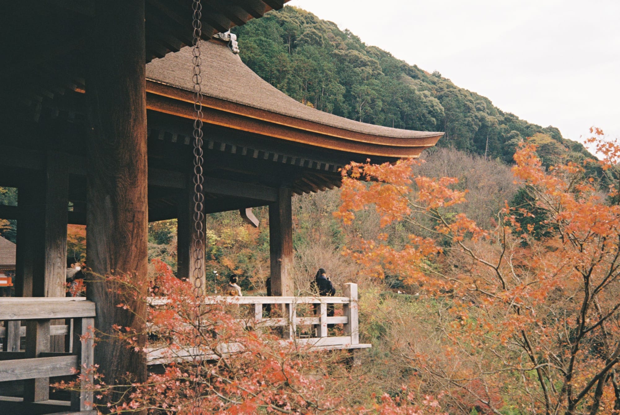 Japan Diaries - Beautiful Kyoto