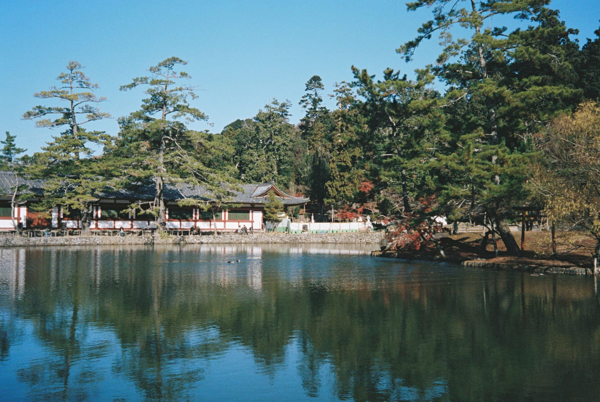 Japan Diaries - Lake Biwa, Karuizawa and Nara